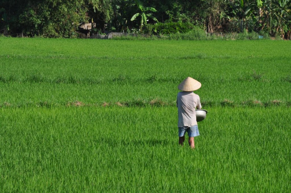 <i><b>Hoi An-064</b></i>